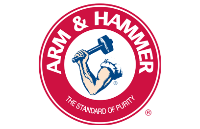 arm-hammer-408x264
